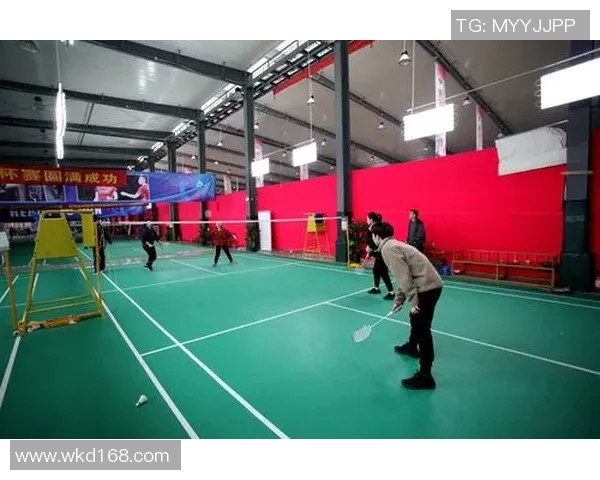 武汉羽毛球队杯赛个人能力分析与表现评估