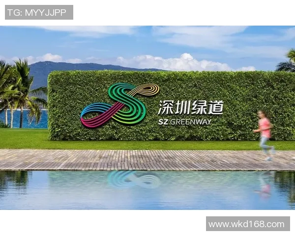 深圳篮球队团队协作的创新之路与热议背后的深层思考